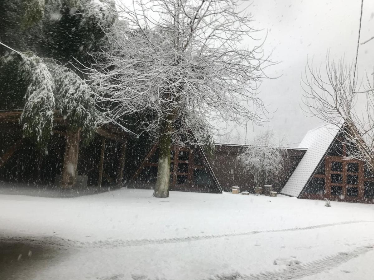 Бунгало Kheivani Exterior foto